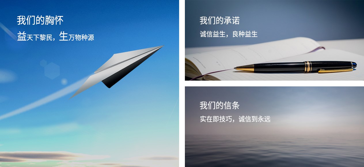 全发国际(中国)有限公司官网