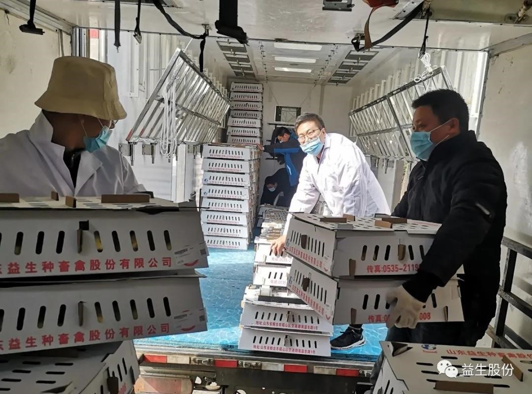 【关注】“疫”见真情，，，，，，，，为全发国际团队点赞