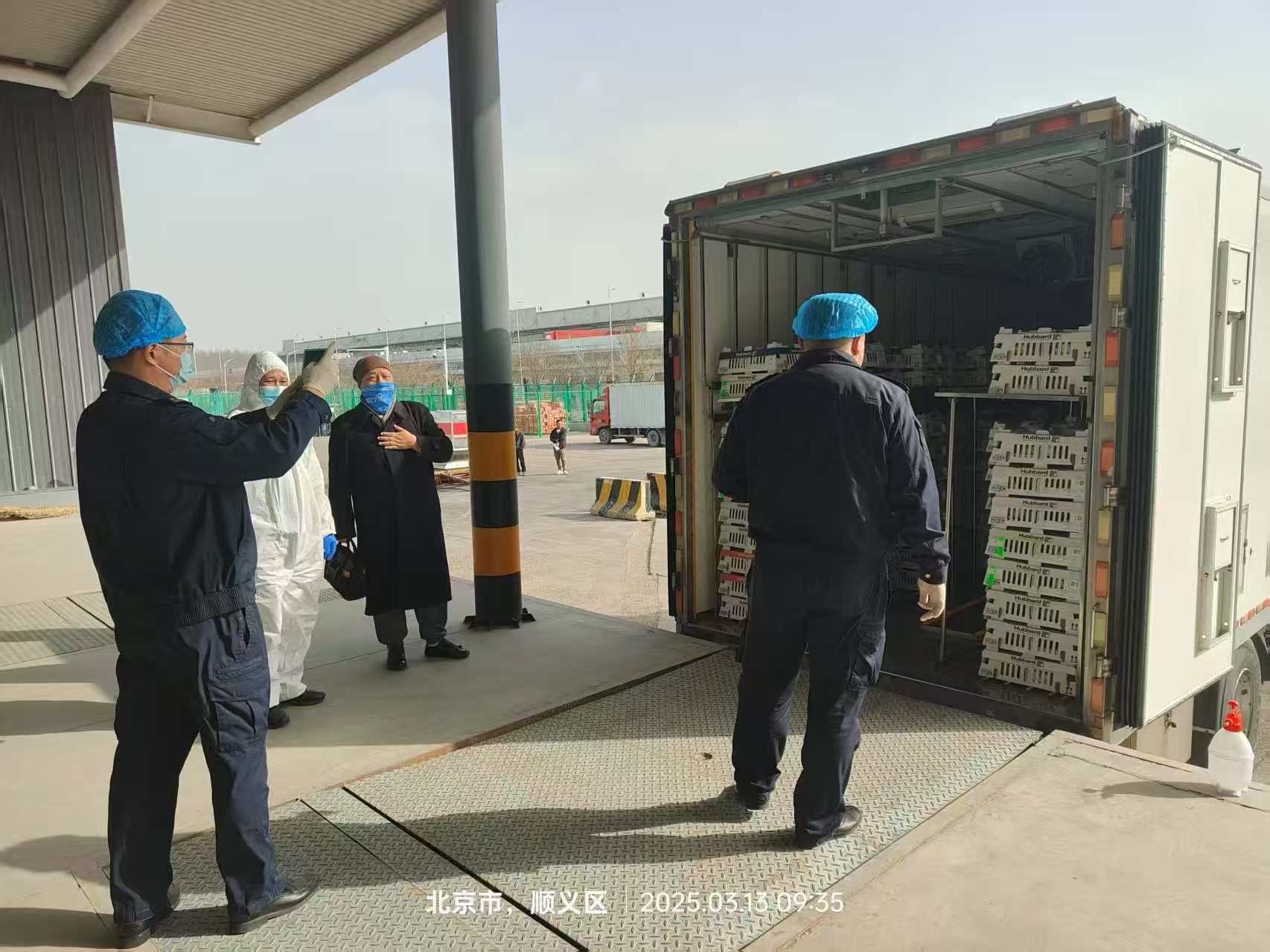 【引种】喜讯！全发国际股份从法国引进的第二批祖代白羽肉种鸡尘埃落定