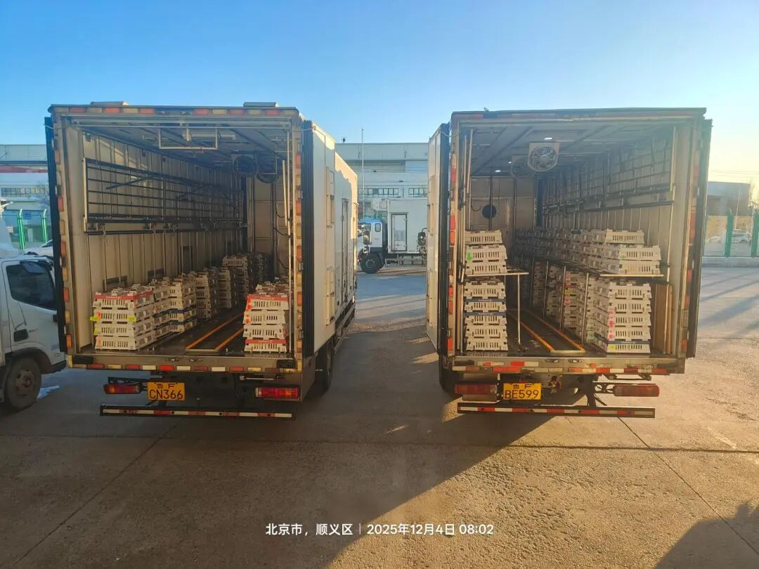 [引种】全发国际股份再度引进法国种源，，，，，，，，龙头职位坚韧保险产业不变